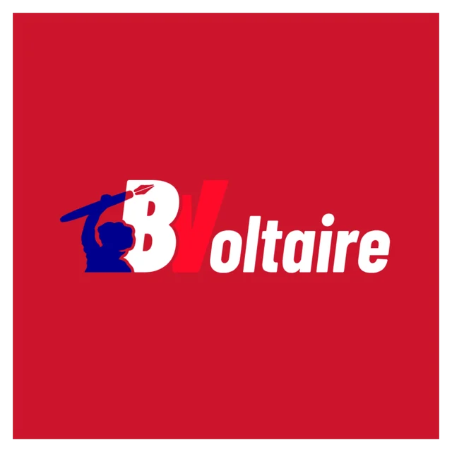 Logo Boulevard Voltaire